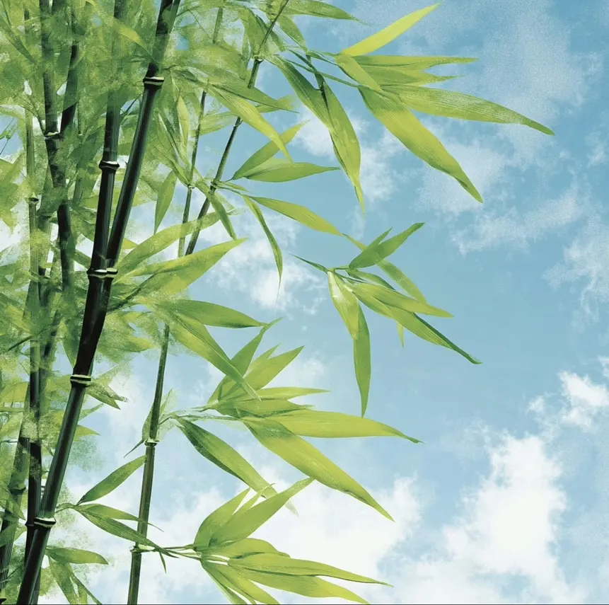 免费下载《检察官室的提案》TXT资源-检察官室的提案小说无删减在线阅读-附百度云链接