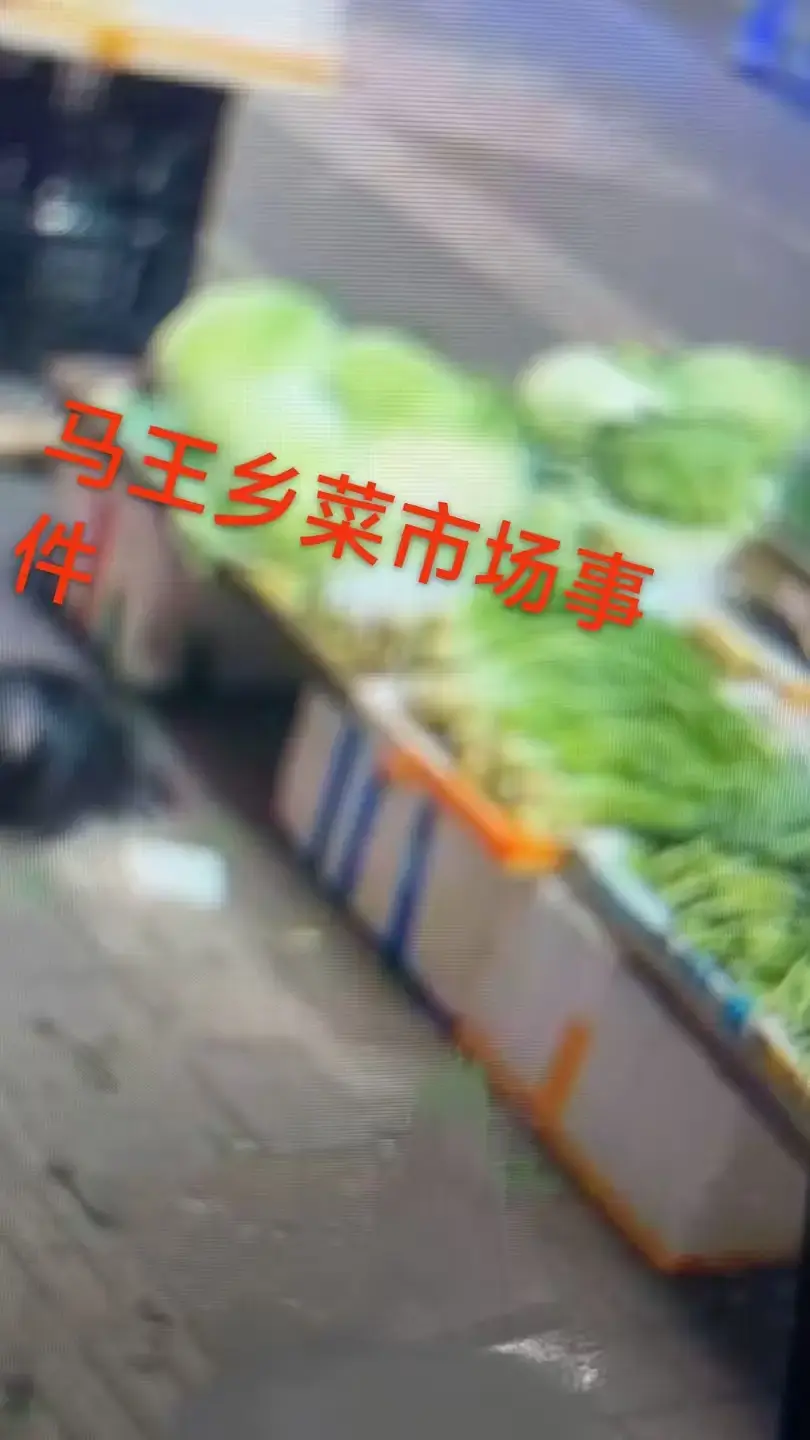 《重庆马王乡菜市场事件》一手视频曝光！HD高清画质流畅播放，附关键节点时间标记，免费在线观看重庆马王乡菜市场事件！