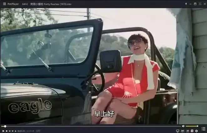 《美丽小蜜桃》1978年美国复古喜剧电影HD高清画质在线观看_无广告免费播放_策驰影院《美丽小蜜桃》完整资源持续有效