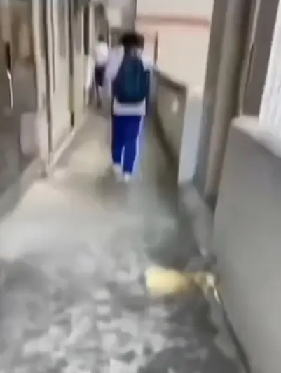 《大昌市第七中学》教室走廊拍到的诡异身影完整版