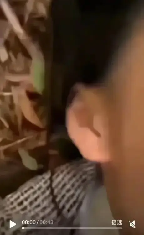 女轻奢事件