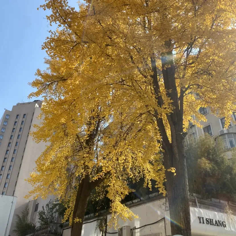 《silk_labo系列》HD中字-女性向1080P全集-高清中字无删减版-百度网盘独家资源-浪漫感官典藏合集