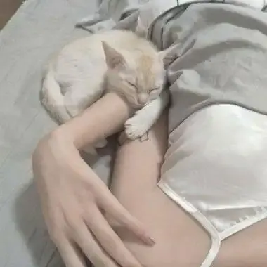 《昆廷夫夫合集》-昆廷夫妇1080P高清全集下载，昆廷夫夫免费在线观看-零影视极速通道